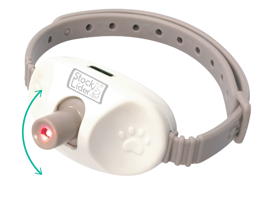 LAIMARC - Collar de juego láser para mascotas